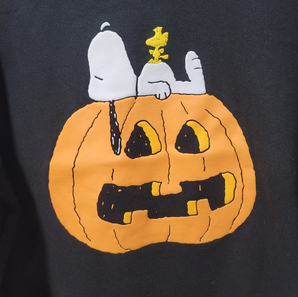 Peanuts Snoopy Sweater Size 1X in Black with Pumpkin Theme - Picture 3 of 6